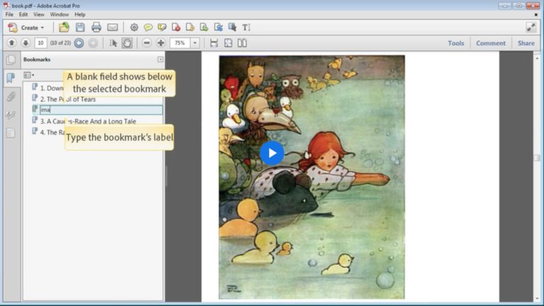 To Ninth Circuit Court of Appeals, Chief Deputy Clerk Operations