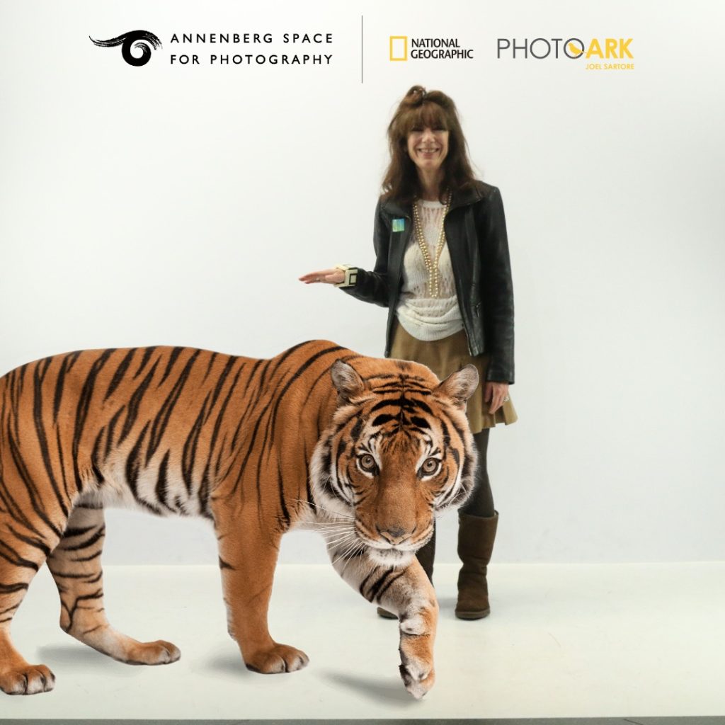 image of Alexandra Darraby with a tiger