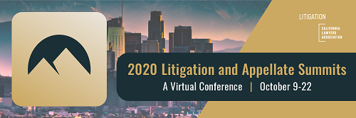 2020 Litigation Summit