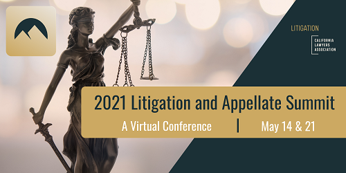 2021 Litigation Summit