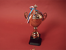workers' compensation awards