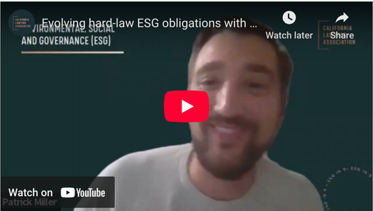 YouTube thumbnail for Evolving hard-law ESG obligations with Kabir Duggal