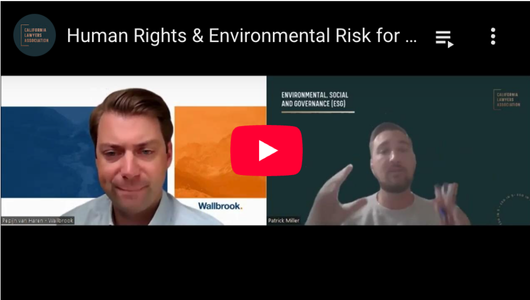 Youtube thumbnail for Human Rights & Environmental Risk for Businesses with Pepijn van Haren