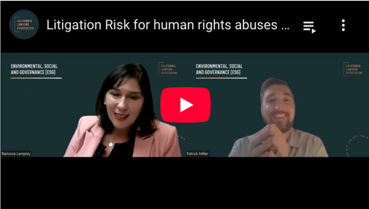 Youtube thumbnail for Litigation Risk for human rights abuses with Prof Ramona Lampley
