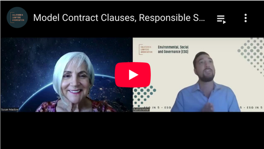 Youtube thumbnail for Model Contract Clauses, Responsible Sourcing and Due Diligence with Susan Maslow