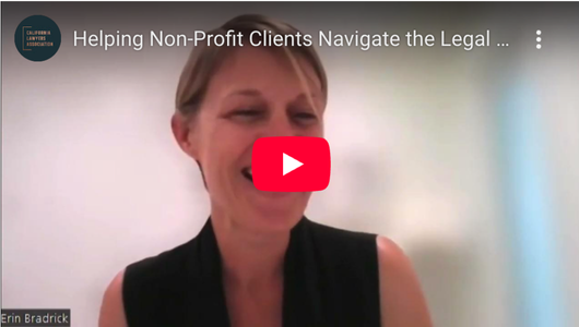 Youtube thumbnail for Helping Non-Profit Clients Navigate the Legal Landscape with Erin Bradrick