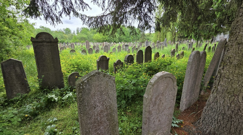 Jewish cemetery in Balassagyarmat, Hungary