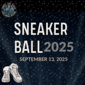 Sneaker Ball 2025