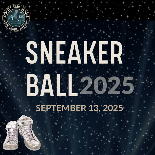 Sneaker Ball