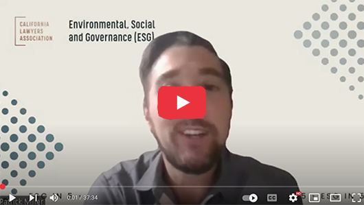 YouTube thumbnail for "Managing ESG challenges as an In House Counsel with Christine Uri"